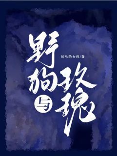 【完结版】《野狗与玫瑰主角乔若寅江沧章节在线阅读