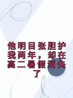 他明目张胆护我两年，却在高二暑假消失了小说免费阅读 何婧顾辞小说大结局免费试读