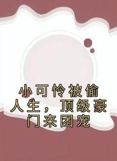 《小可怜被偷人生，顶级豪门来团宠》小说章节在线阅读 黎小鸭盛玉霄小说阅读