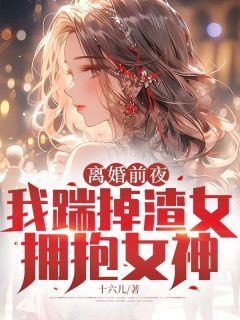 《离婚前夜，我踹掉渣女拥抱女神》小说完结版在线试读 陆扬徐心瑶小说全文