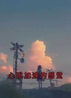 《心跳加速的感觉》小说全文免费阅读 阮真商邵小说阅读