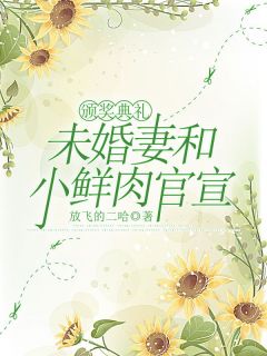 颁奖典礼，未婚妻和小鲜肉官宣完整版在线阅读(主角梁戬沈如烟)