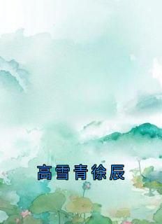 高雪青徐辰(高雪青徐辰)全文完结在线阅读完整版