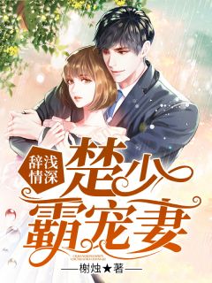 《辞浅情深：楚少霸宠妻》小说全文在线试读 《辞浅情深：楚少霸宠妻》最新章节目录